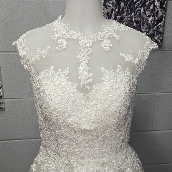 Elegant White Lace Wedding Dress - Picture 3 of 16